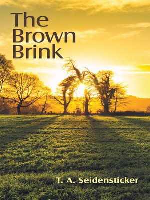 cover image of The Brown Brink